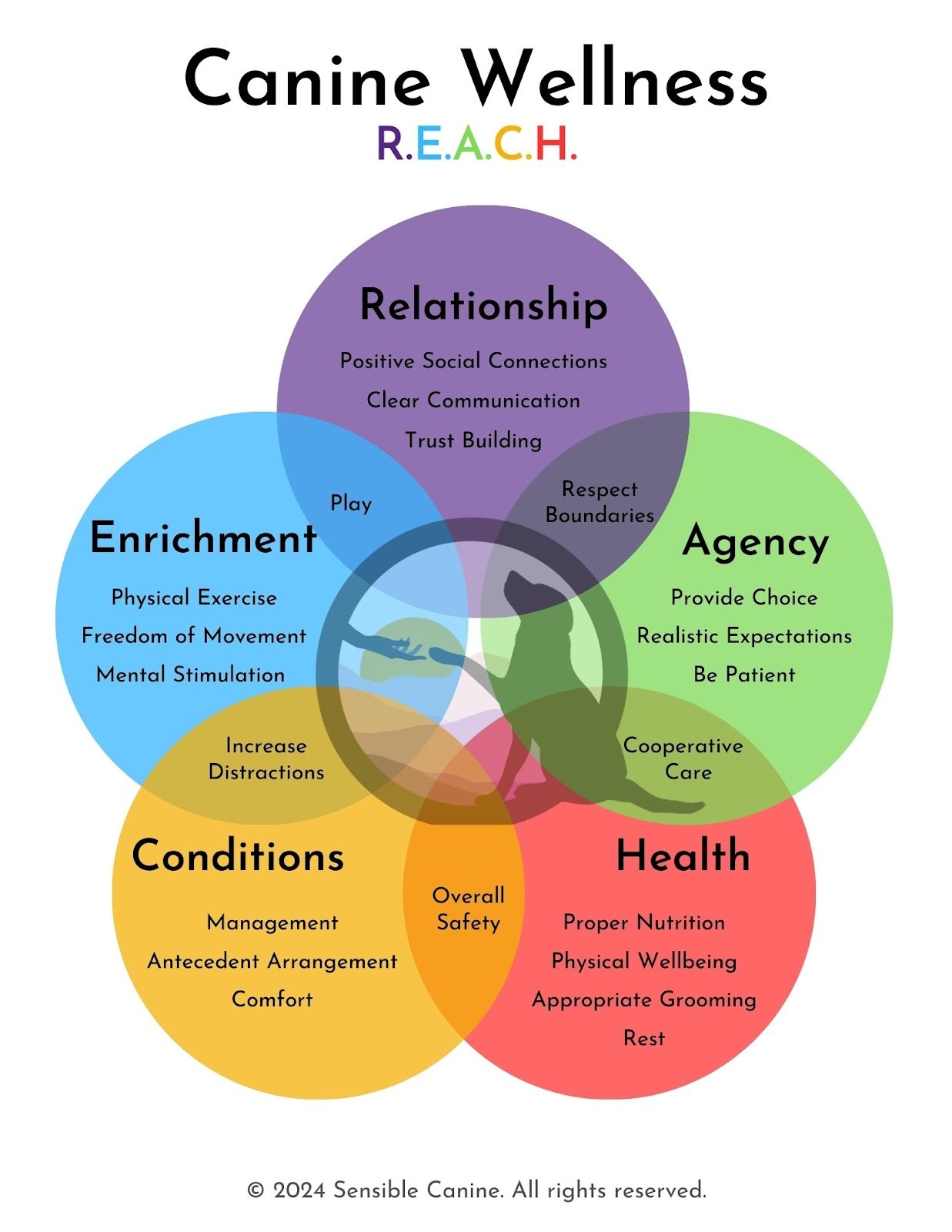 5 pillars of dog wellness